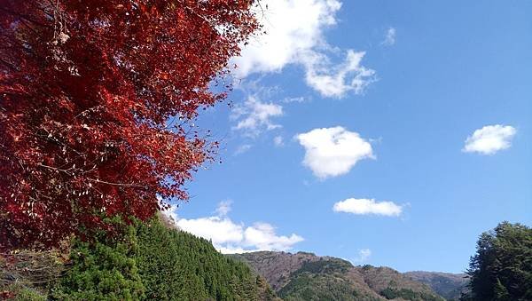 天領庵的天空