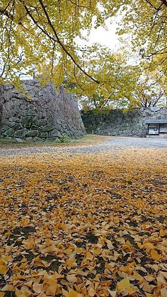 福岡城跡