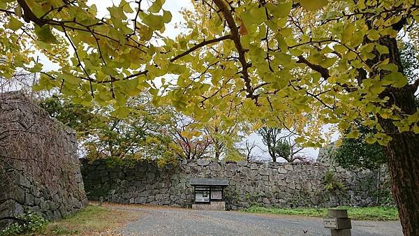 福岡城跡