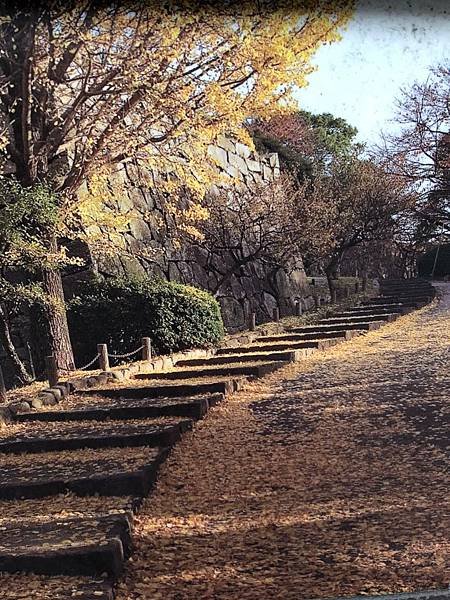 福岡城跡