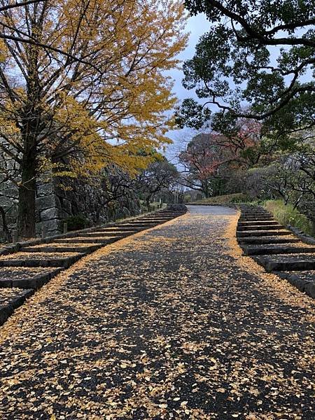 福岡城跡