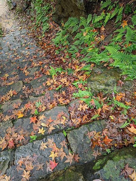 金瓜石古道陡峭的步道