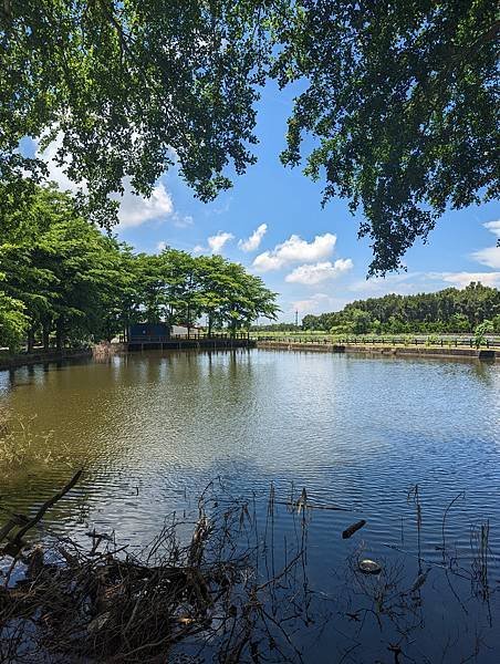 20220622水林鄉山腳村 (13).jpg