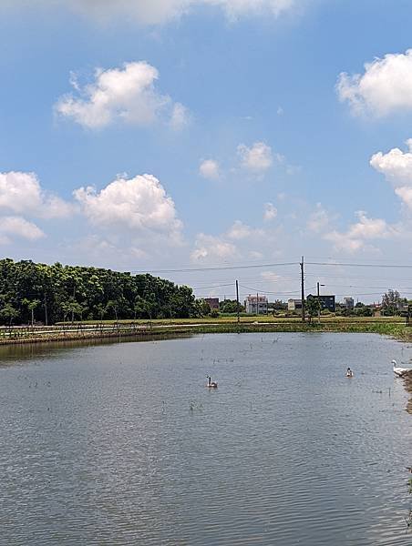 20220622水林鄉山腳村 (18).jpg