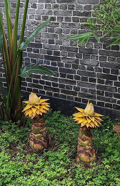 20230404(47).jpg