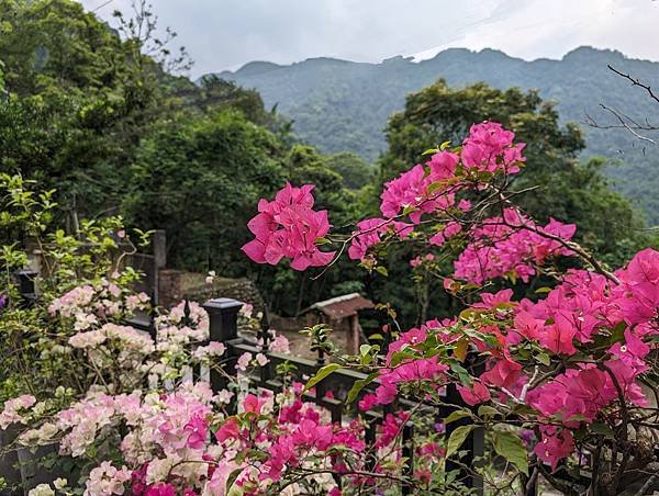 烏來-紅河隱園 + 竹東將軍村園區二日遊