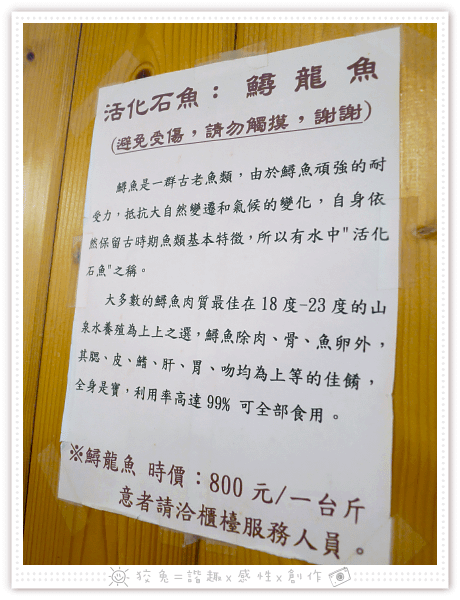 P5300798