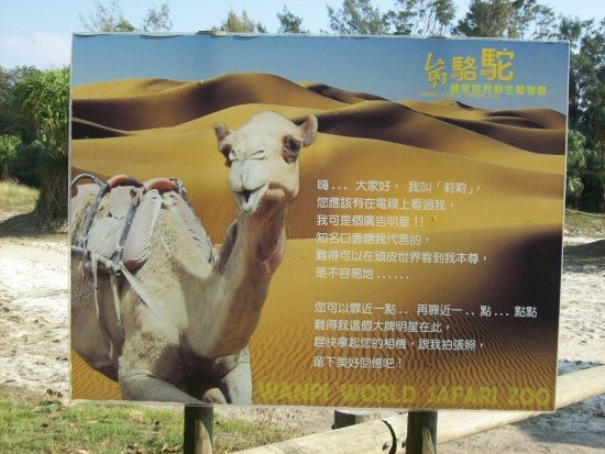 100_7969.jpg