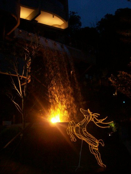 101_8135.jpg