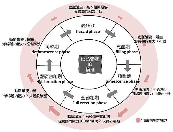 輪迴.jpg