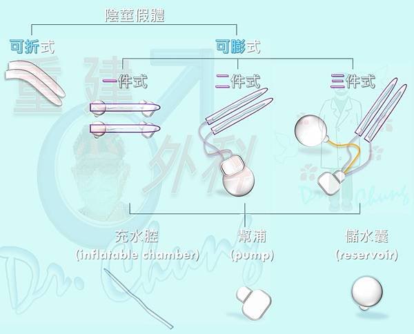 人工陰莖.jpg