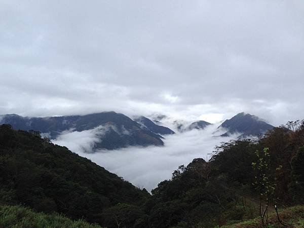 雲霧1.jpg