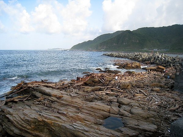 八八風災後, 海邊有許多漂流木
