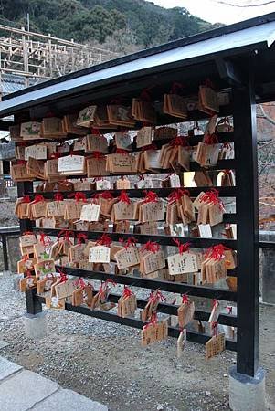 IMG_5716 (427x640).jpg