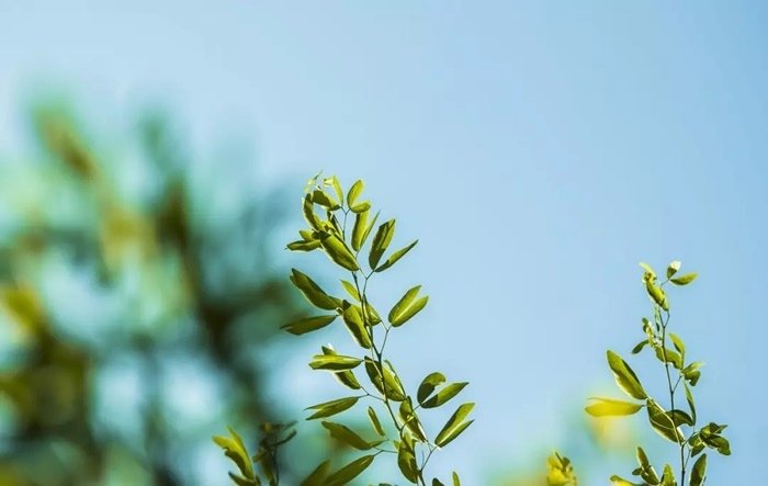 人生能相遇，已不易！✿✿⊱╮