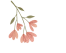 活成春花一樣，盛開自己的美(人生感悟)✿✿⊱╮