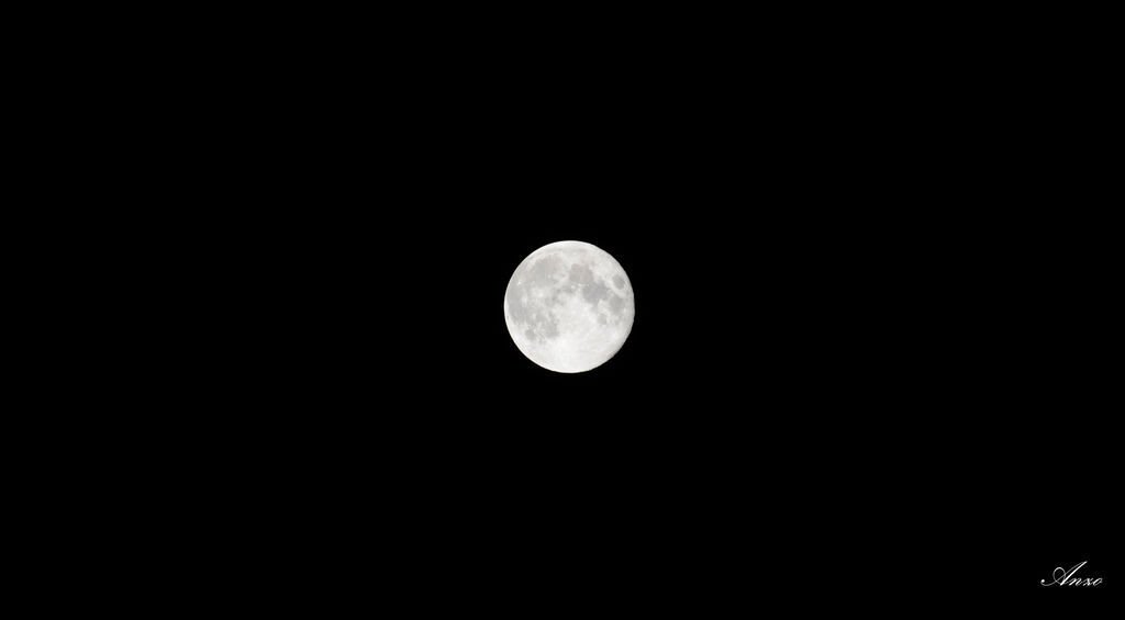 _DSC0007