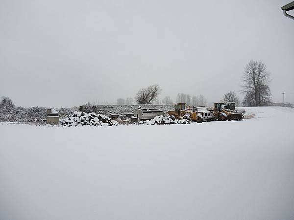 DSCN4450