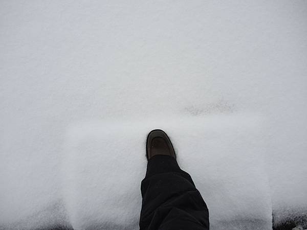 DSCN4451