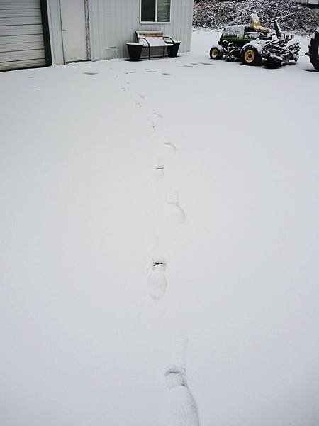 DSCN4453