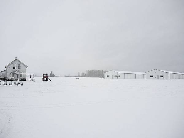 DSCN4466