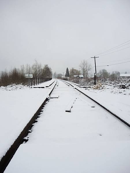 DSCN4465