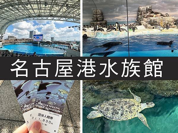 【名古屋】名古屋港水族館｜海豚秀必看，還有牡蠣尋找珍珠活動｜