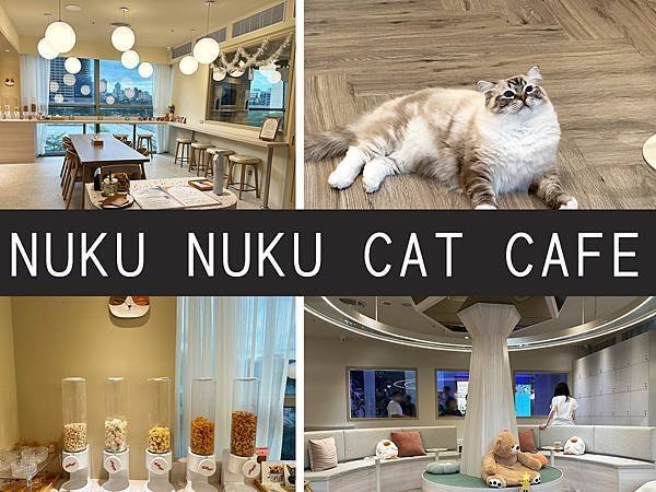 【台北信義】NUKU NUKU CAT CAFE｜一邊嚕貓一