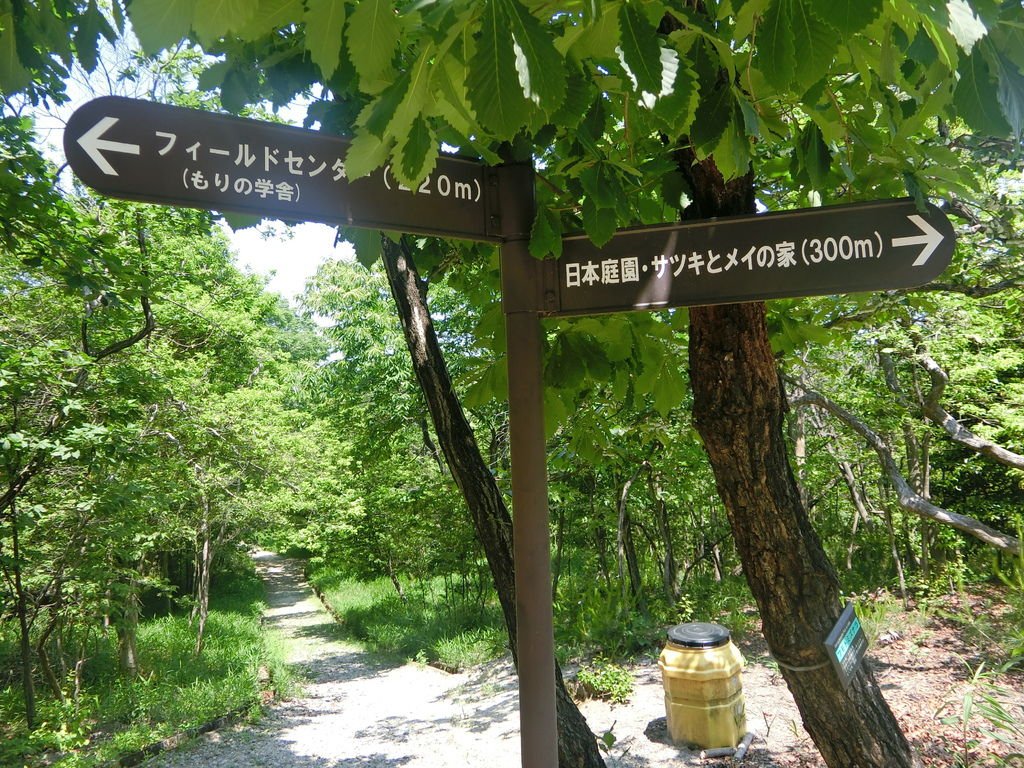 CIMG2406.JPG