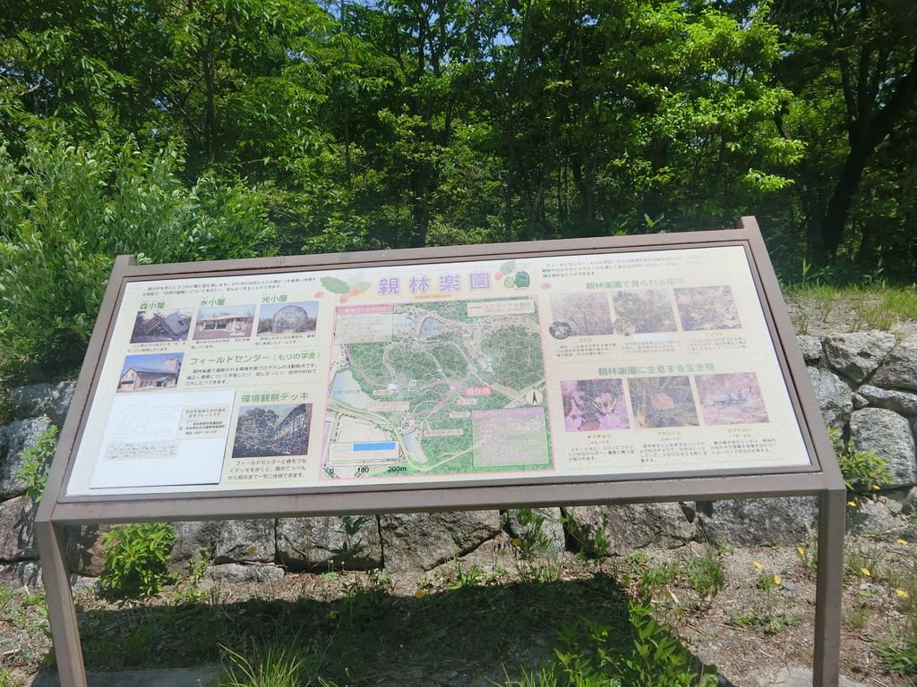 CIMG2407.JPG