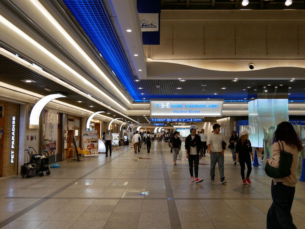 P1090927.JPG