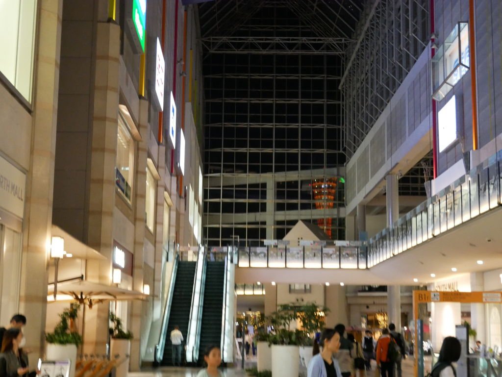 P1090982.JPG