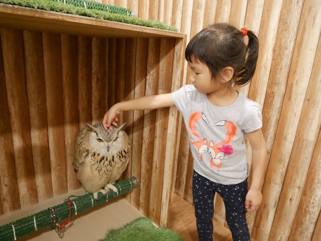 P1110043.JPG