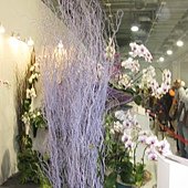 IMG_5246.JPG