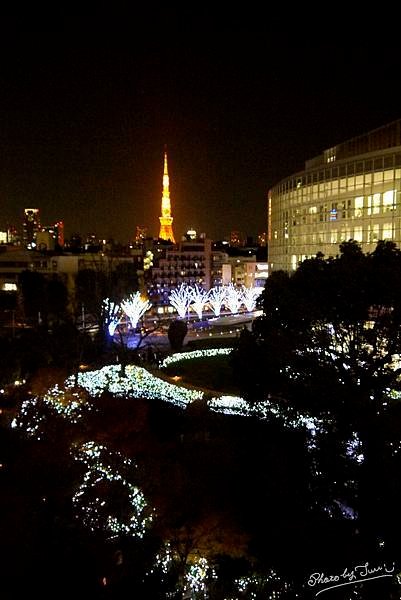 P1060057.jpg