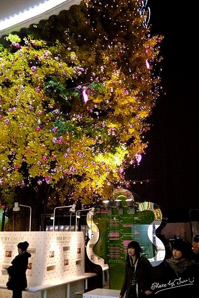 P1060222.jpg