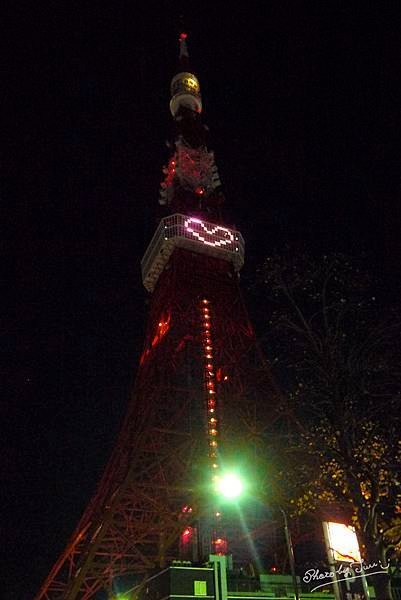 P1070416.jpg