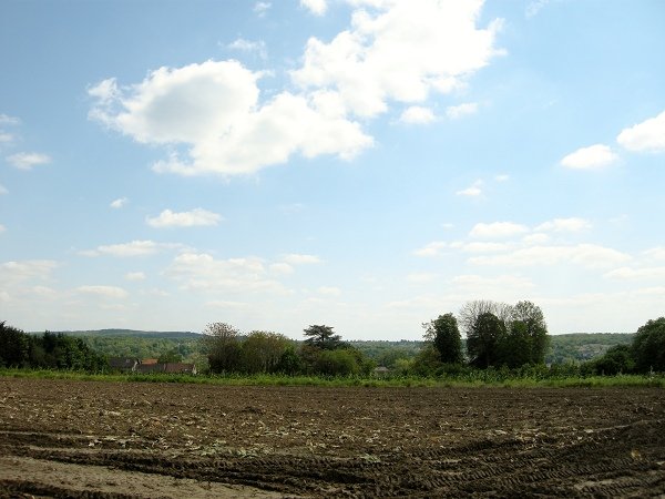 DSCN7690
