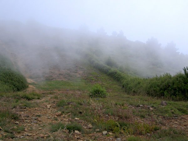 IMG_0086.JPG