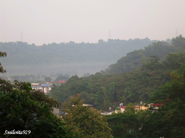 IMG_0080首.JPG