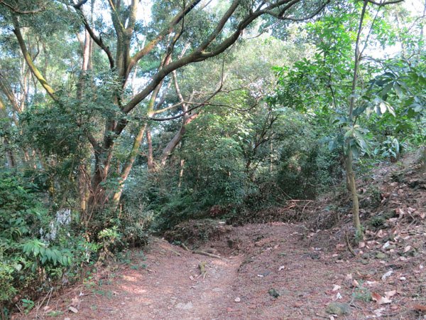 058回首向來處.JPG