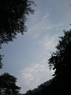 040.JPG