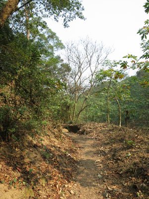 169.JPG