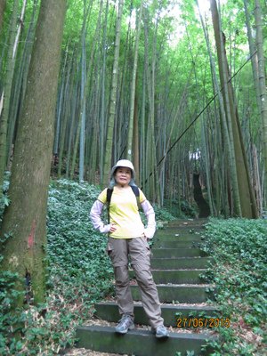 2015.06.27 奮起湖、阿里山夏之旅 第二天