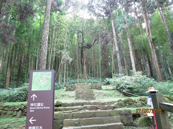 2015.06.27 奮起湖、阿里山夏之旅 第二天