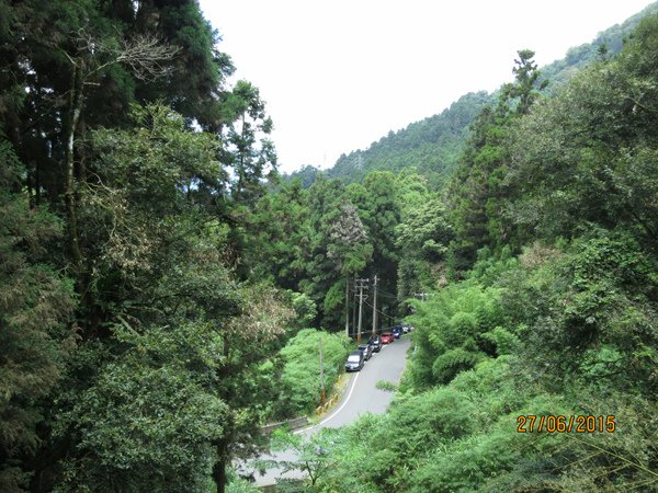 2015.06.27 奮起湖、阿里山夏之旅 第二天