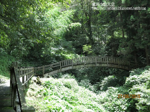 2015.06.27 奮起湖、阿里山夏之旅 第二天