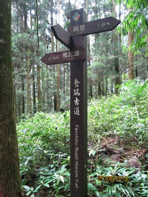 2015.06.27 奮起湖、阿里山夏之旅 第二天