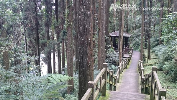 2015.06.27 奮起湖、阿里山夏之旅 第二天