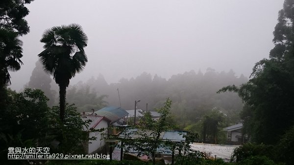 2015.06.27 奮起湖、阿里山夏之旅 第二天